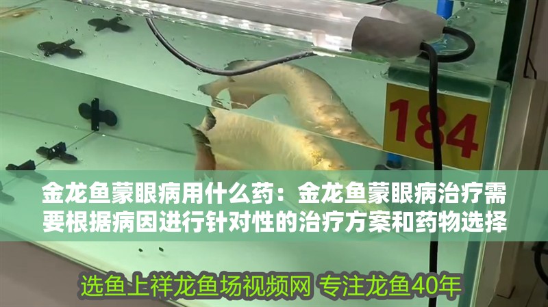 金龍魚蒙眼病用什么藥：金龍魚蒙眼病治療需要根據(jù)病因進(jìn)行針對性的治療方案和藥物選擇