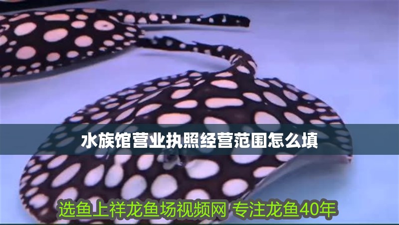 水族館營業執照經營范圍怎么填