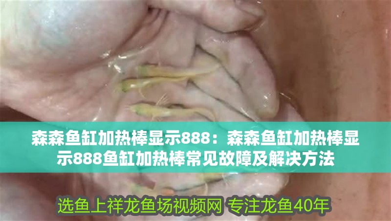 森森魚缸加熱棒顯示888：森森魚缸加熱棒顯示888魚缸加熱棒常見故障及解決方法