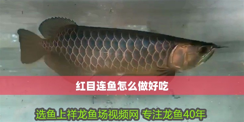 紅目連魚怎么做好吃