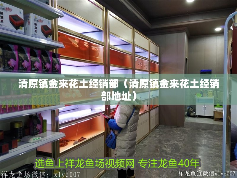 清原鎮金來花土經銷部（清原鎮金來花土經銷部地址）
