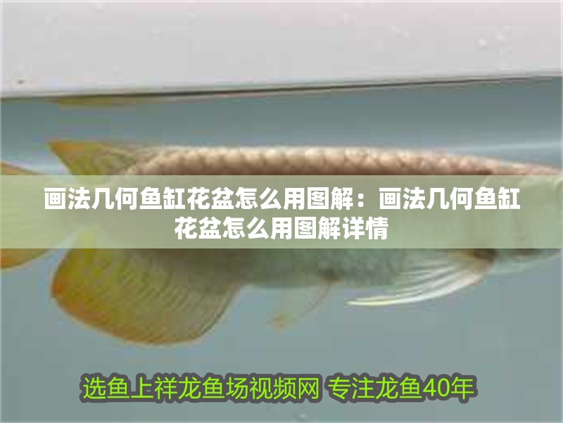 畫法幾何魚缸花盆怎么用圖解:畫法幾何魚缸花盆怎么用圖解詳情