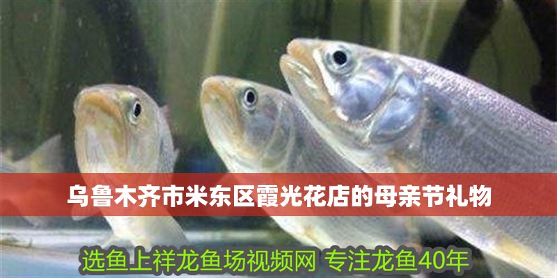 烏魯木齊市米東區(qū)霞光花店的母親節(jié)禮物
