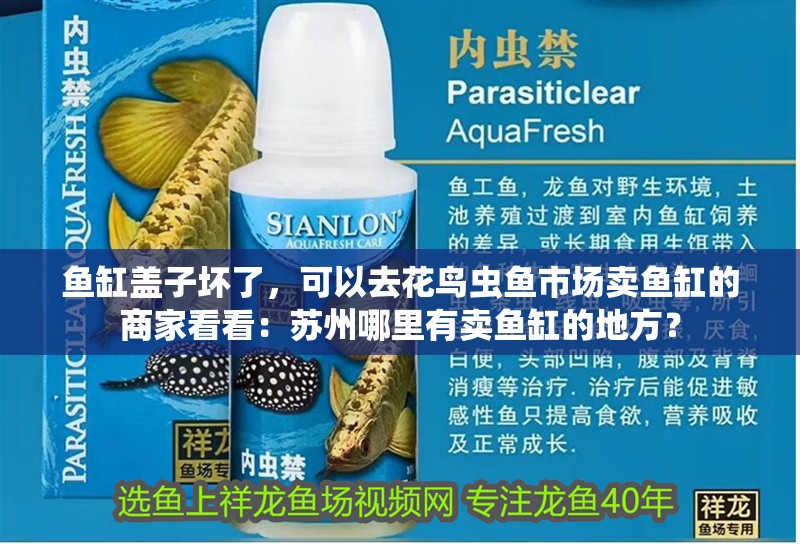 魚缸蓋子壞了，可以去花鳥蟲魚市場賣魚缸的商家看看：蘇州哪里有賣魚缸的地方？ 魚缸蓋子壞了，可以去花鳥蟲魚市場賣魚缸的商家看看：蘇州哪里有賣魚缸的地方？ 魚缸百科