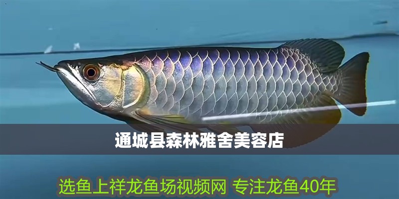 通城縣森林雅舍美容店