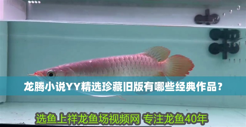 龍騰小說YY精選珍藏舊版有哪些經典作品？