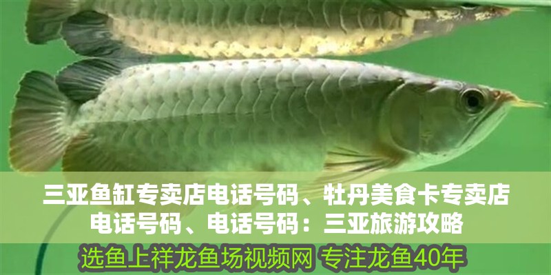 三亞魚缸專賣店電話號碼、牡丹美食卡專賣店電話號碼、電話號碼：三亞旅游攻略