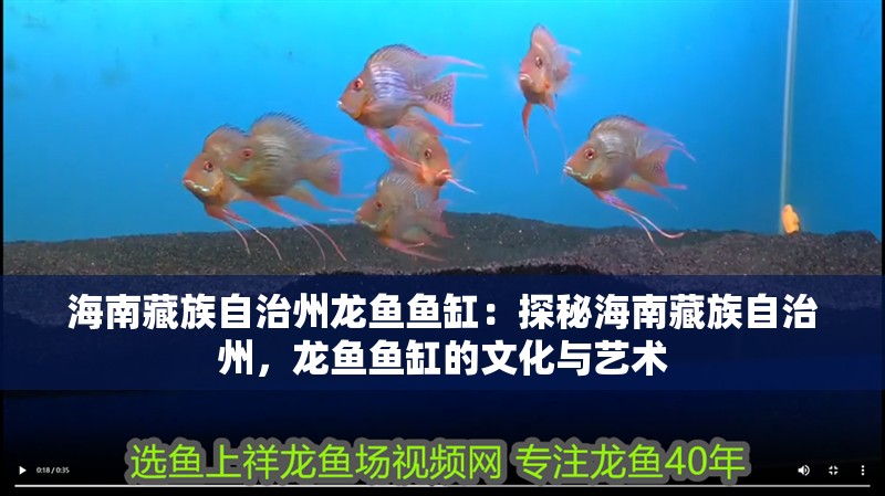 海南藏族自治州龍魚魚缸：探秘海南藏族自治州，龍魚魚缸的文化與藝術