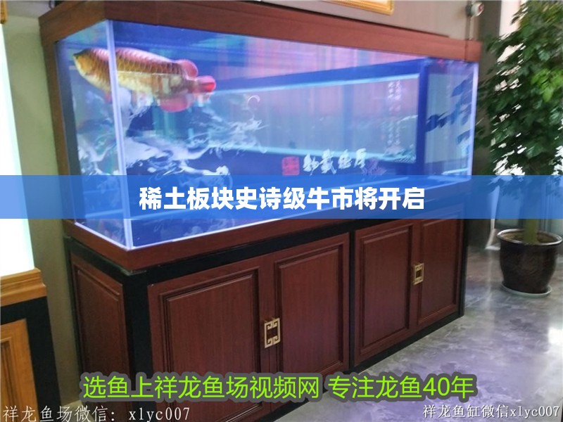 稀土板塊史詩級牛市將開啟