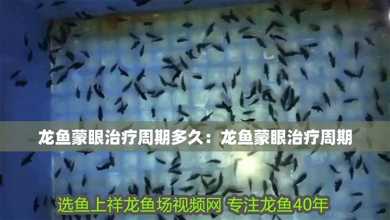 龍魚蒙眼治療周期多久：龍魚蒙眼治療周期
