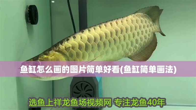 魚缸怎么畫的圖片簡單好看(魚缸簡單畫法)