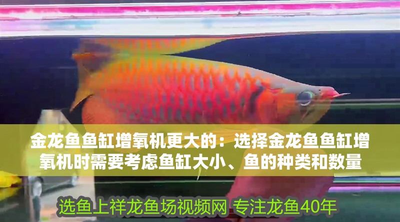 金龍魚(yú)魚(yú)缸增氧機(jī)更大的：選擇金龍魚(yú)魚(yú)缸增氧機(jī)時(shí)需要考慮魚(yú)缸大小、魚(yú)的種類和數(shù)量