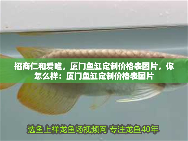 招商仁和愛唯，廈門魚缸定制價格表圖片，你怎么樣：廈門魚缸定制價格表圖片