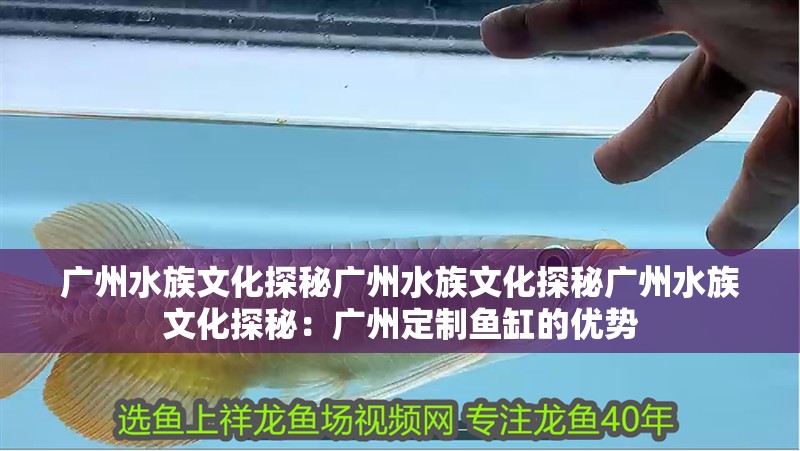 廣州水族文化探秘廣州水族文化探秘廣州水族文化探秘：廣州定制魚缸的優勢