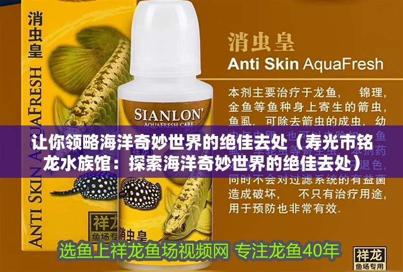 讓你領略海洋奇妙世界的絕佳去處（壽光市銘龍水族館：探索海洋奇妙世界的絕佳去處）