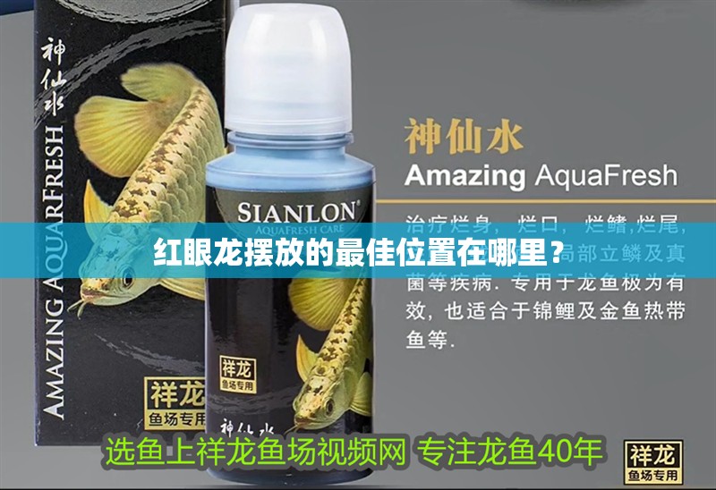 紅眼龍擺放的最佳位置在哪里？ 紅眼龍擺放的最佳位置在哪里？ 龍魚論壇