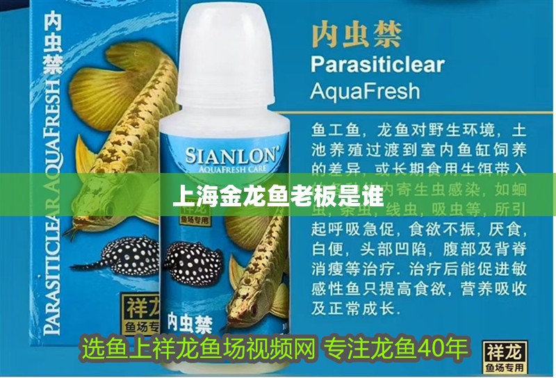 上海金龍魚老板是誰