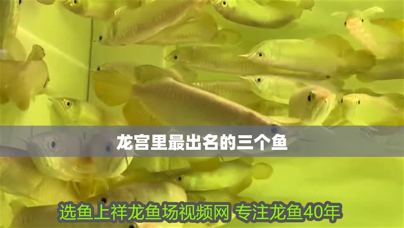 龍宮里最出名的三個魚