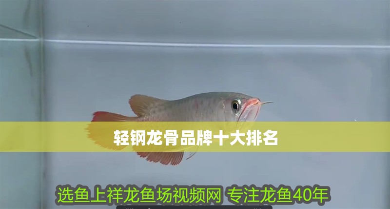 輕鋼龍骨品牌十大排名 輕鋼龍骨品牌十大排名 龍魚論壇