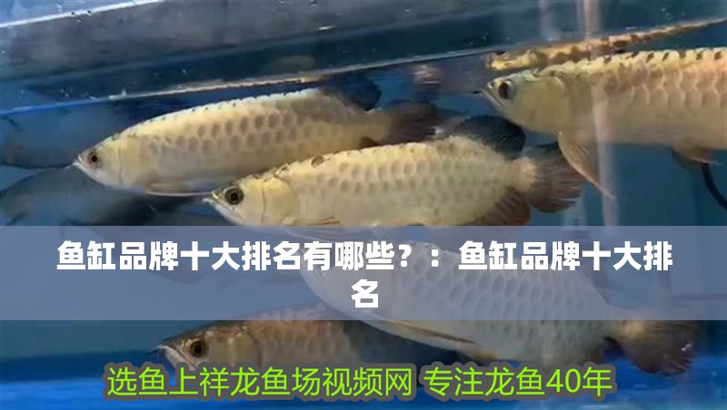 魚缸品牌十大排名有哪些？：魚缸品牌十大排名