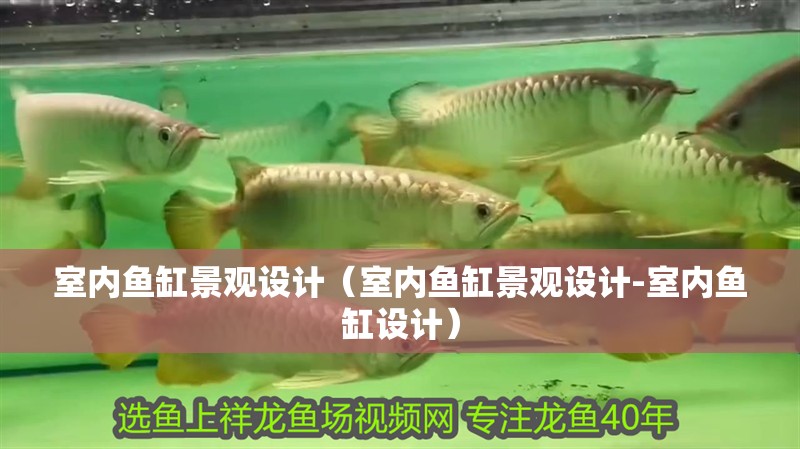 室內魚缸景觀設計（室內魚缸景觀設計-室內魚缸設計）
