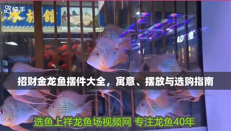 招財金龍魚擺件大全，寓意、擺放與選購指南 招財金龍魚擺件大全，寓意、擺放與選購指南 龍魚百科 第1張