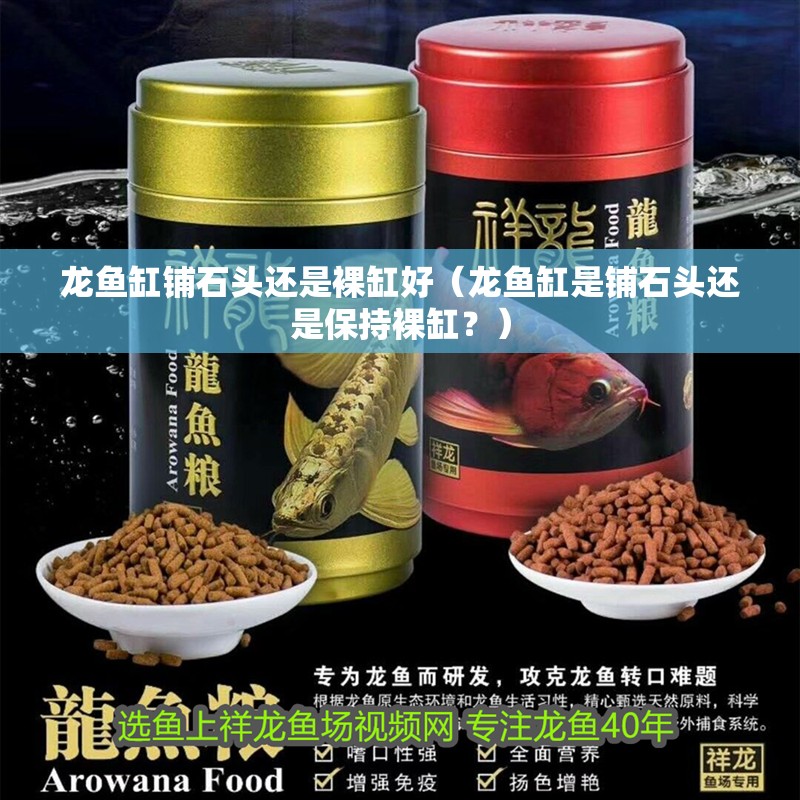 龍魚缸鋪石頭還是裸缸好（龍魚缸是鋪石頭還是保持裸缸？）