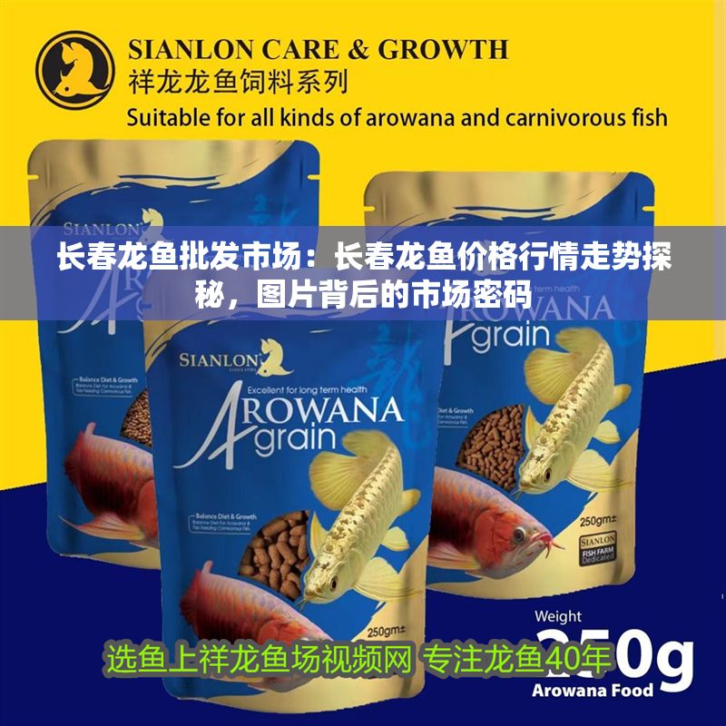 長春龍魚批發市場：長春龍魚價格行情走勢探秘，圖片背后的市場密碼