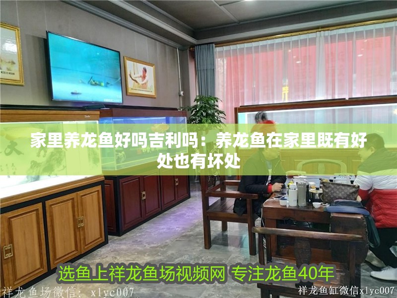 家里養龍魚好嗎<strong><mark>吉利</mark></strong>嗎：養龍魚在家里既有好處也有壞處