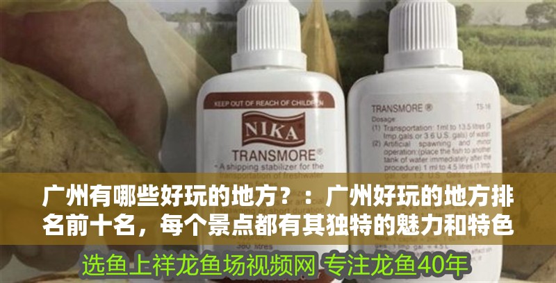 我的虎魚真菌感染了要怎么處理 廣州有哪些好玩的地方?:廣州好玩的地方排名前十名,每個景點都有其獨特的魅力和特色 魚缸百科 廣州有哪些好玩的地方?:廣州好玩的地方排名前十名,每個景點都有其獨特的魅力和特色 廣州有哪些好玩的地方?:廣州好玩的地方排名前十名,每個景點都有其獨特的魅力和特色 魚缸百科