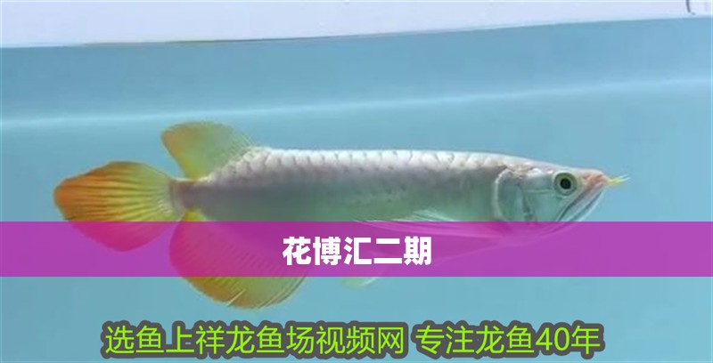 花博匯二期