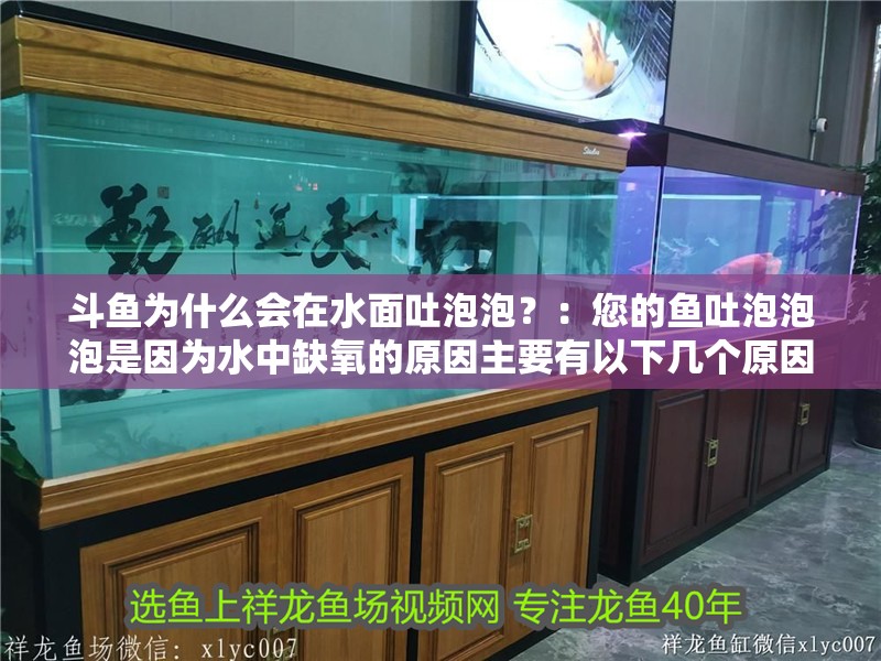 斗魚為什么會(huì)在水面吐泡泡？：您的魚吐泡泡泡是因?yàn)樗腥毖醯脑蛑饕幸韵聨讉€(gè)原因