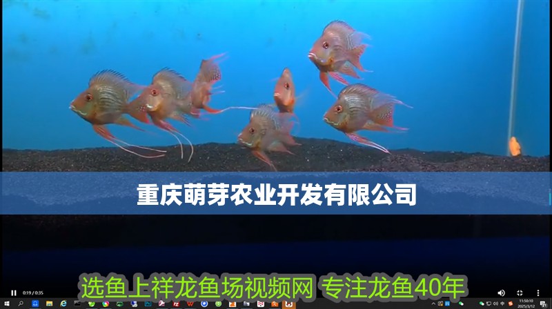 重慶萌芽農業開發有限公司