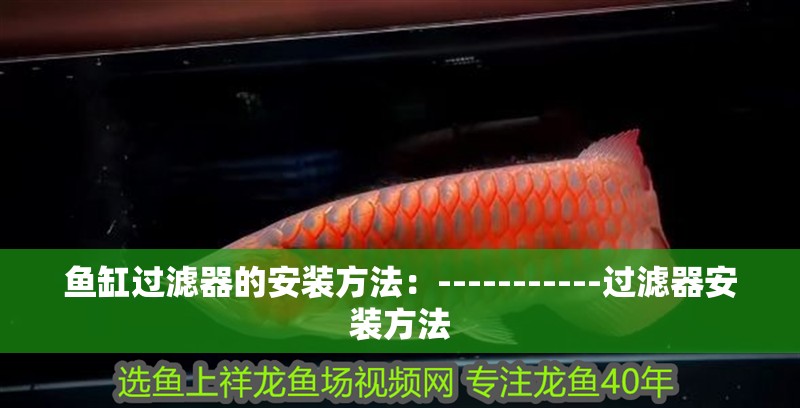魚缸過濾器的安裝方法：-----------過濾器安裝方法 魚缸過濾器的安裝方法：-----------過濾器安裝方法 魚缸百科