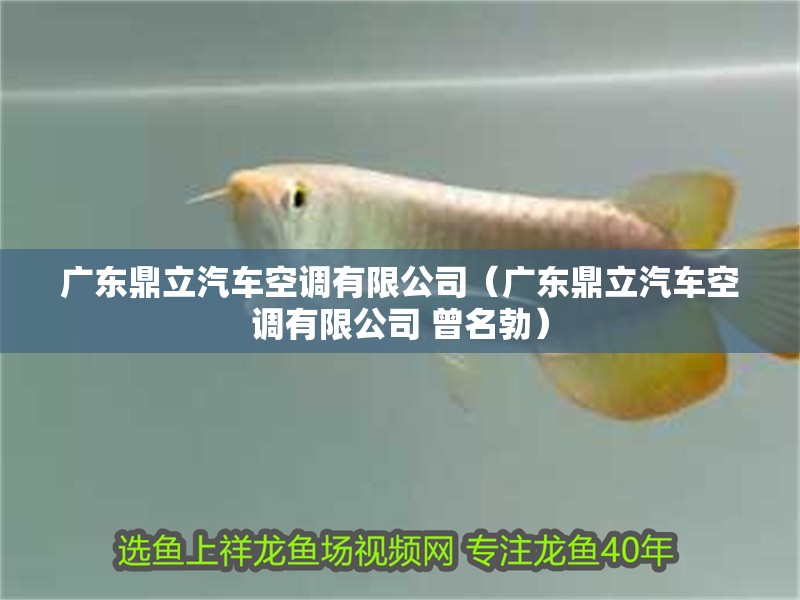 廣東鼎立汽車空調有限公司（廣東鼎立汽車空調有限公司 曾名勃）