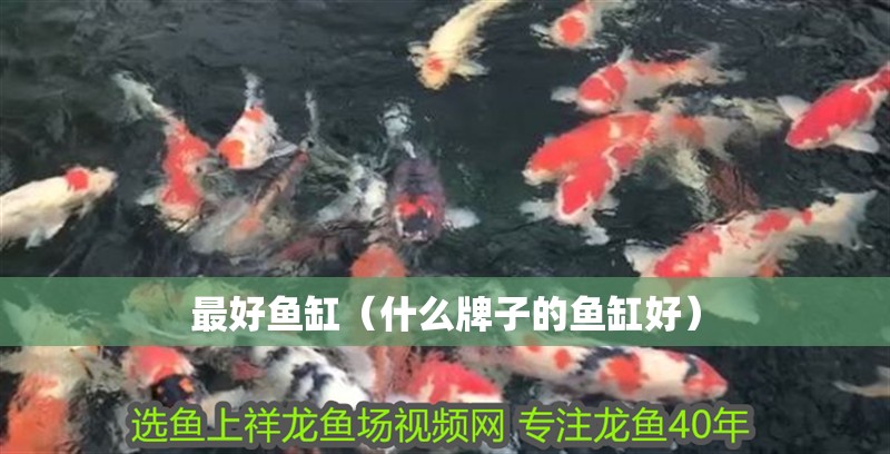 最好魚缸（什么牌子的魚缸好） 最好魚缸（什么牌子的魚缸好） 魚缸百科