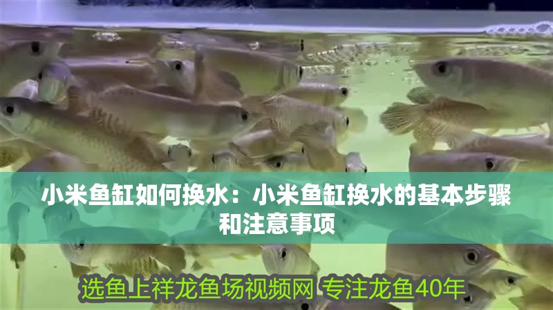 小米魚缸如何換水：小米魚缸換水的基本步驟和注意事項