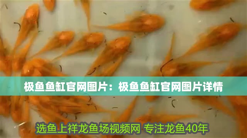 極魚魚缸官網(wǎng)圖片：極魚魚缸官網(wǎng)圖片詳情