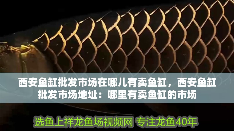 西安魚(yú)缸批發(fā)市場(chǎng)在哪兒有賣魚(yú)缸，西安魚(yú)缸批發(fā)市場(chǎng)地址：哪里有賣魚(yú)缸的市場(chǎng)