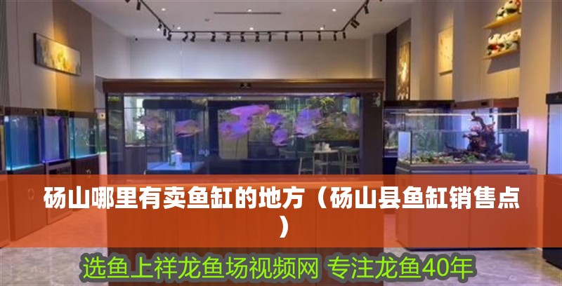 碭山哪里有賣魚缸的地方（碭山縣魚缸銷售點） 碭山哪里有賣魚缸的地方（碭山縣魚缸銷售點） 魚缸百科
