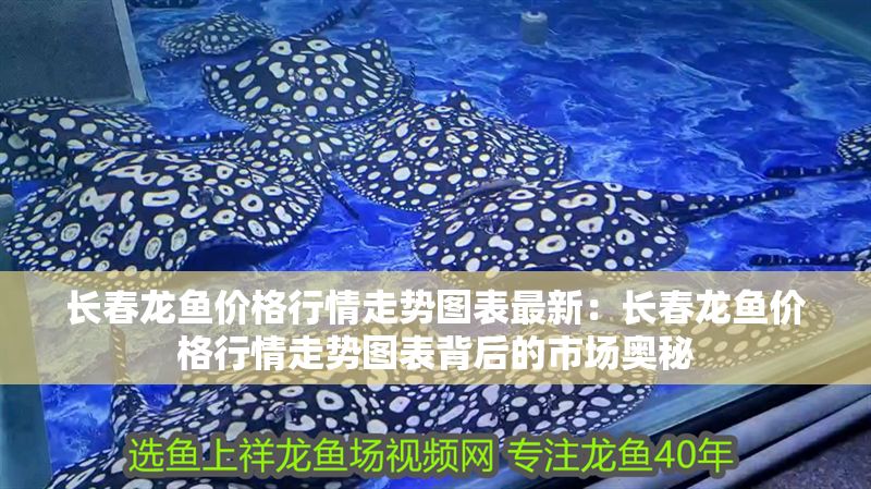 長春龍魚價格行情走勢圖表最新：長春龍魚價格行情走勢圖表背后的市場奧秘