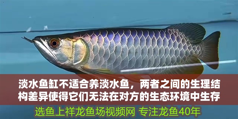 淡水魚缸不適合養淡水魚，兩者之間的生理結構差異使得它們無法在對方的生態環境中生存：海水魚缸不適合養淡水魚