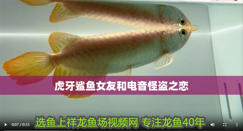 虎牙鯊魚女友和電音怪盜之戀