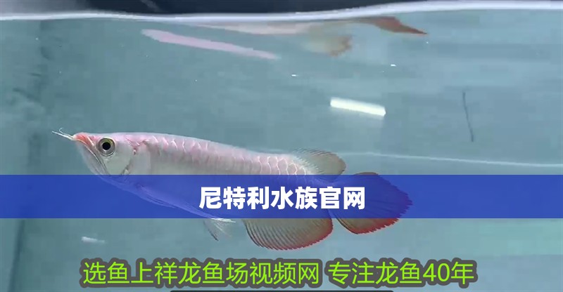 尼特利水族官網