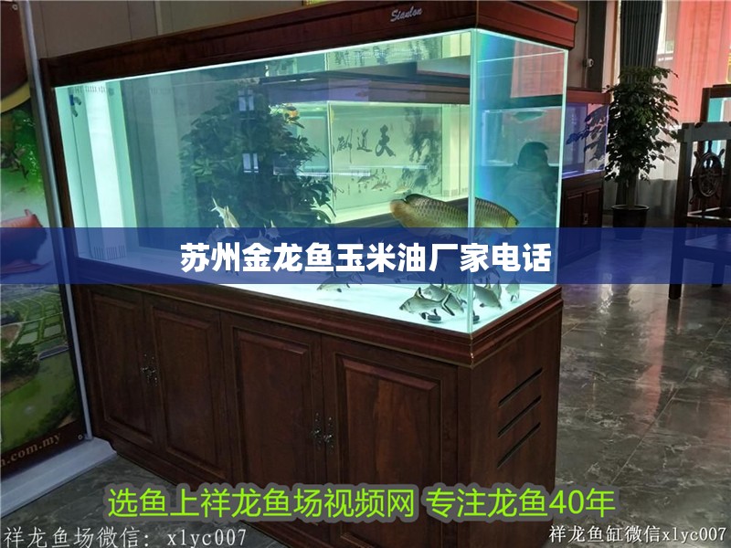 蘇州金龍魚玉米油廠家電話