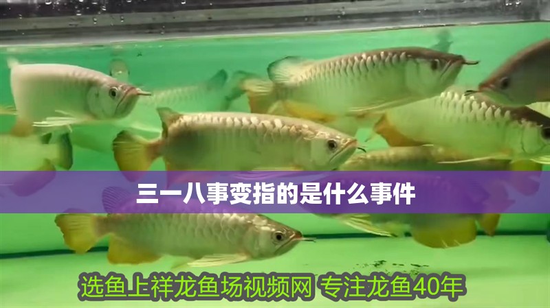 三一八事變指的是什么事件 三一八事變指的是什么事件 龍魚論壇
