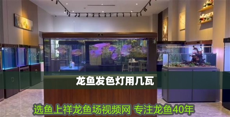 龍魚發色燈用幾瓦 龍魚發色燈用幾瓦 龍魚論壇
