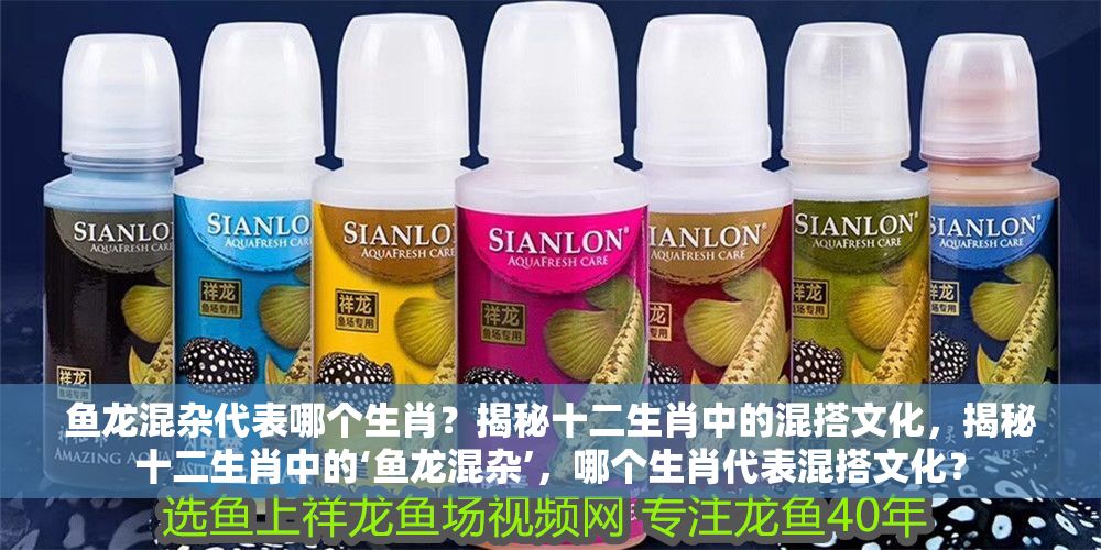 魚龍混雜代表哪個生肖？揭秘十二生肖中的混搭文化，揭秘十二生肖中的‘魚龍混雜’，哪個生肖代表混搭文化？