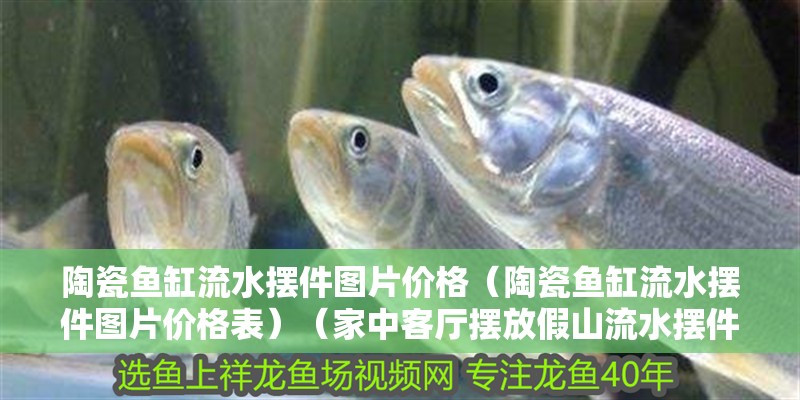 鸚鵡魚和銀龍魚混養怎樣喂食 陶瓷魚缸流水擺件圖片價格(陶瓷魚缸流水擺件圖片價格表)(家中客廳擺放假山流水擺件宜忌擺放假山流水擺件宜忌) 魚缸百科 陶瓷魚缸流水擺件圖片價格(陶瓷魚缸流水擺件圖片價格表)(家中客廳擺放假山流水擺件宜忌擺放假山流水擺件宜忌) 陶瓷魚缸流水擺件圖片價格(陶瓷魚缸流水擺件圖片價格表)(家中客廳擺放假山流水擺件宜忌擺放假山流水擺件宜忌) 魚缸百科