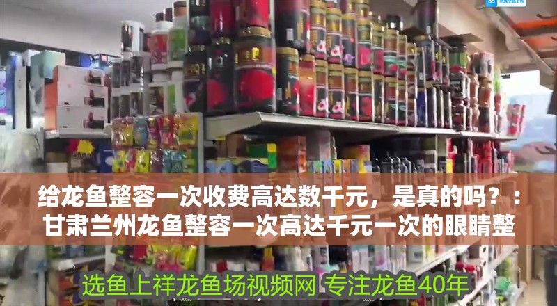 給龍魚整容一次收費高達數千元，是真的嗎？：甘肅蘭州龍魚整容一次高達千元一次的眼睛整容一次高達千元